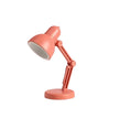 Lampe de Lecture LED à Pince Pliable