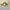 Plafonnier en Verre Design Fleur