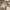 Applique Murale Scandinave Luminaire Bois Moderne