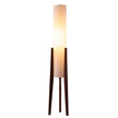 Lampe Japonaise À Poser Pour Décoration Intérieure, lampe de chevet, lampadaires chambre, Led, Salon